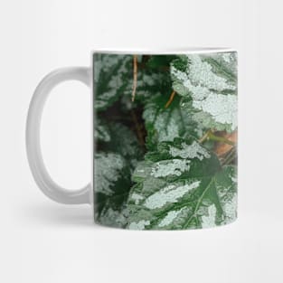 Nettle in the woods Mug